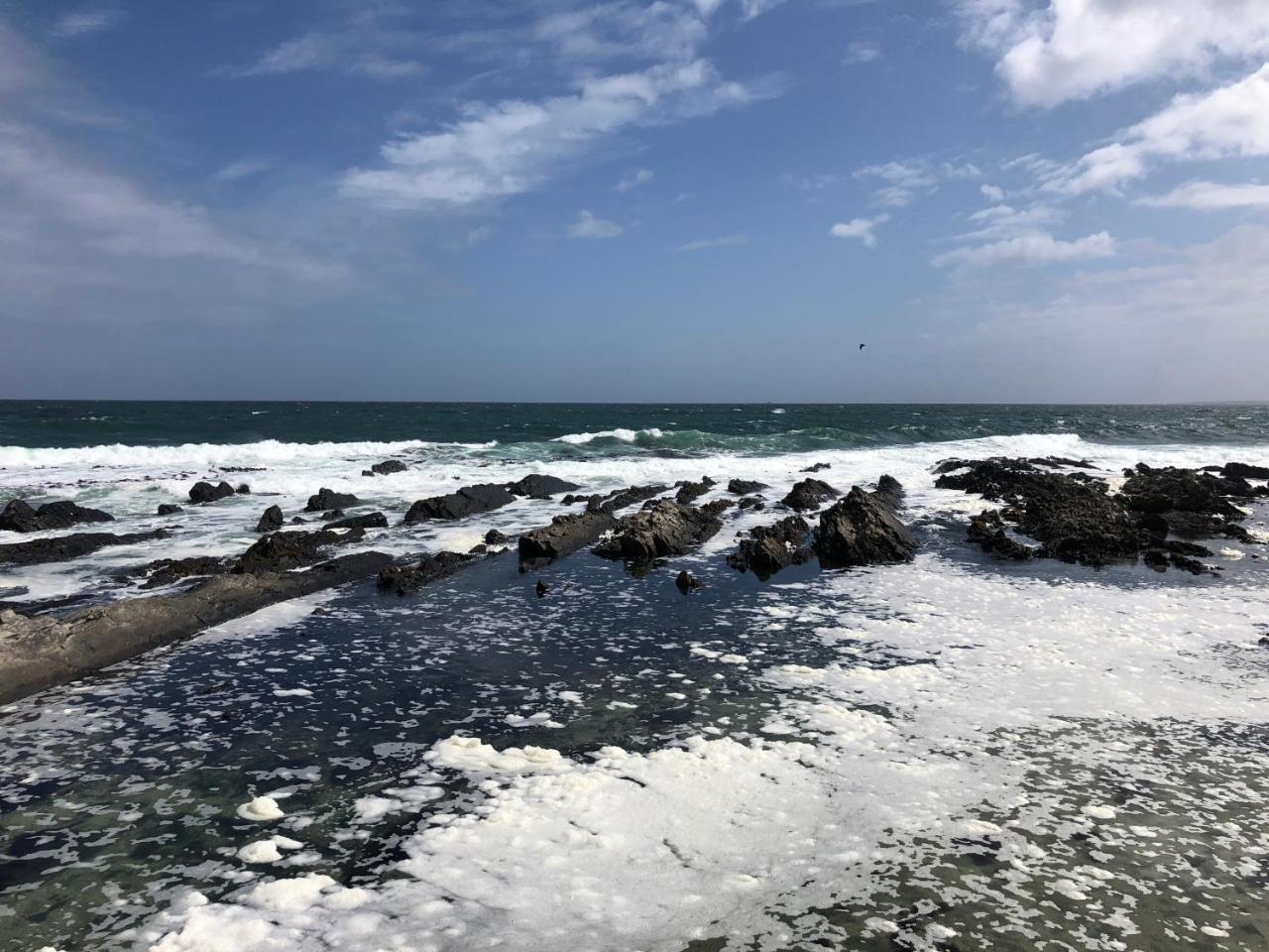 Sea Point Inn Cape Town Bagian luar foto
